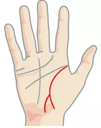 Значение развилки ветки на линии жизни при обводке на руке
