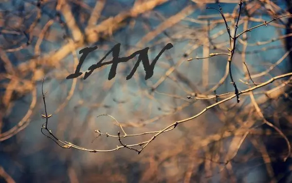 Надпись IAN на фоне деревьев