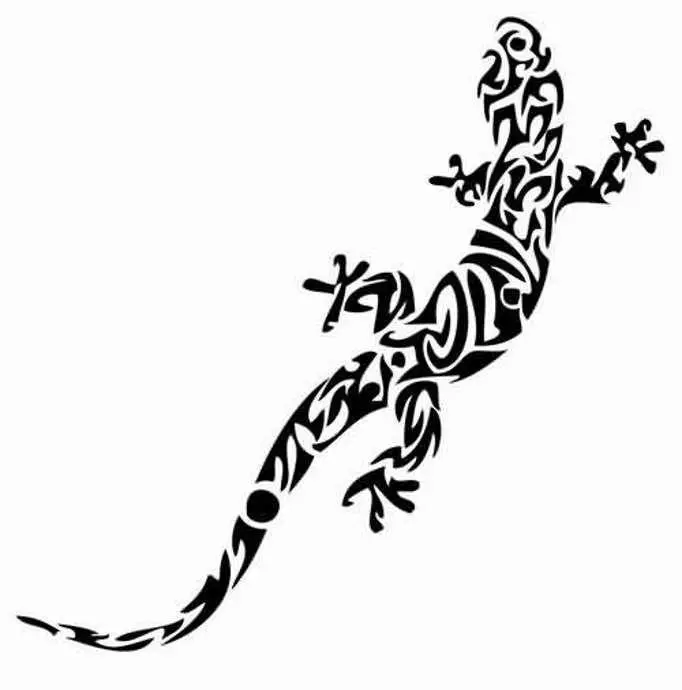 Символ Саламандры – значение, описание, правила использования