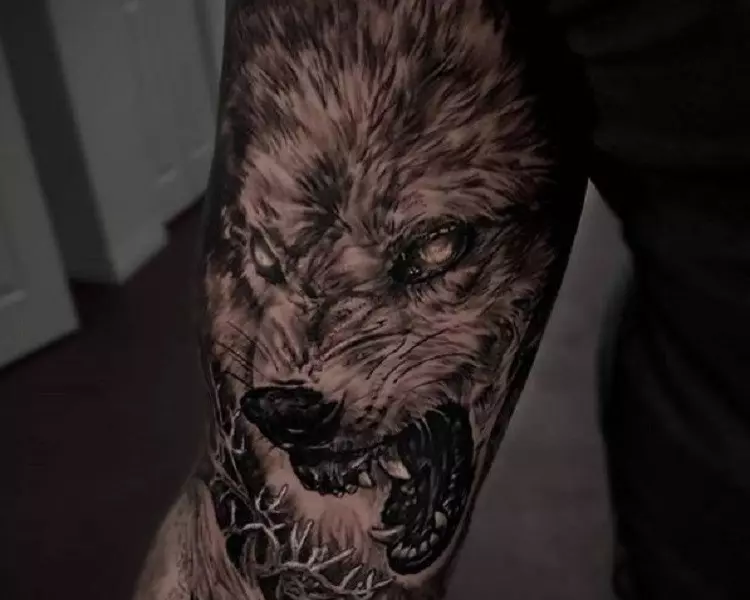 Что отчинают татуированные с волком Фенриром — история символа