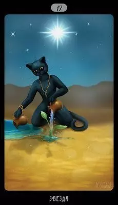 17 звезд. Таро черных кошек