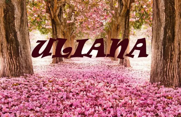 Надпись ULIANA на фоне цветущей сакуры