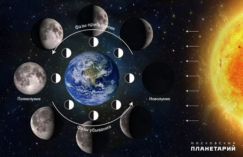 схема фото фаз луны